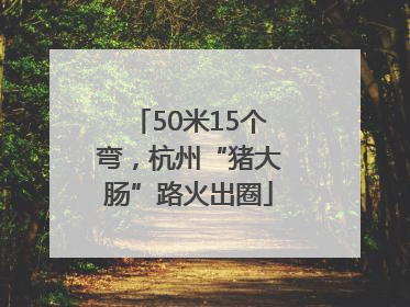 50米15个弯，杭州“猪大肠”路火出圈