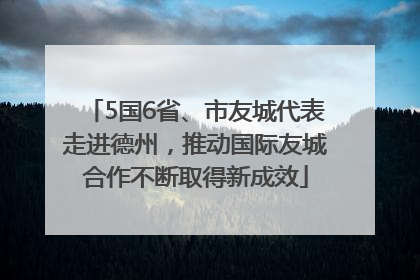 5国6省、市友城代表走进德州，推动国际友城合作不断取得新成效
