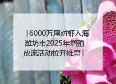 6000万尾对虾入海 潍坊市2025年增殖放流活动拉开帷幕