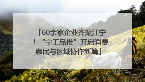 60余家企业齐聚江宁！“宁工品推”开启消费惠民与区域协作新篇