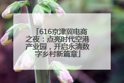 616京津冀电商之夜：点亮时代空港产业园，开启永清数字乡村新篇章