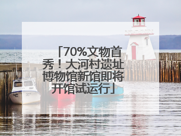 70%文物首秀！大河村遗址博物馆新馆即将开馆试运行