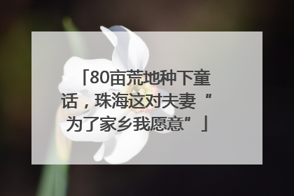 80亩荒地种下童话,珠海这对夫妻“为了家乡我愿意”