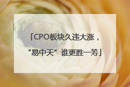 CPO板块久违大涨，“易中天”谁更胜一筹