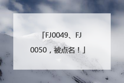 FJ0049、FJ0050，被点名！
