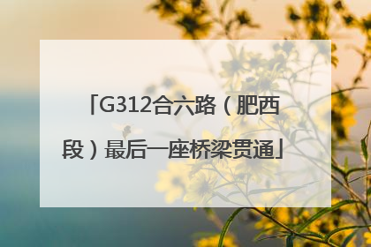 G312合六路（肥西段）最后一座桥梁贯通