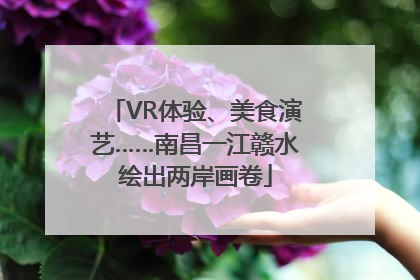 VR体验、美食演艺……南昌一江赣水绘出两岸画卷